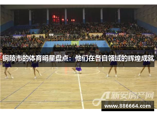 铜陵市的体育明星盘点：他们在各自领域的辉煌成就